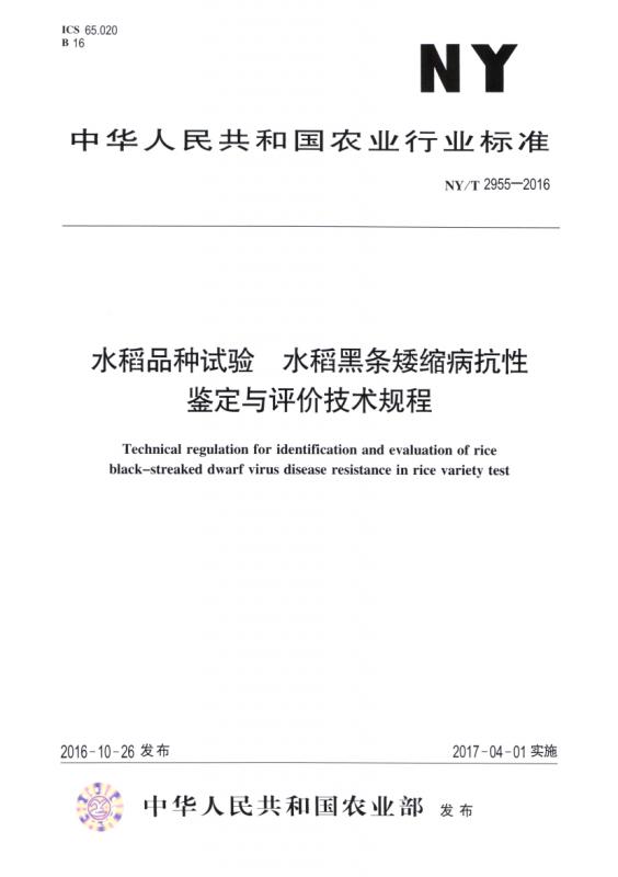 三农,农业,方案优化,水稻,水稻品种,其他规范